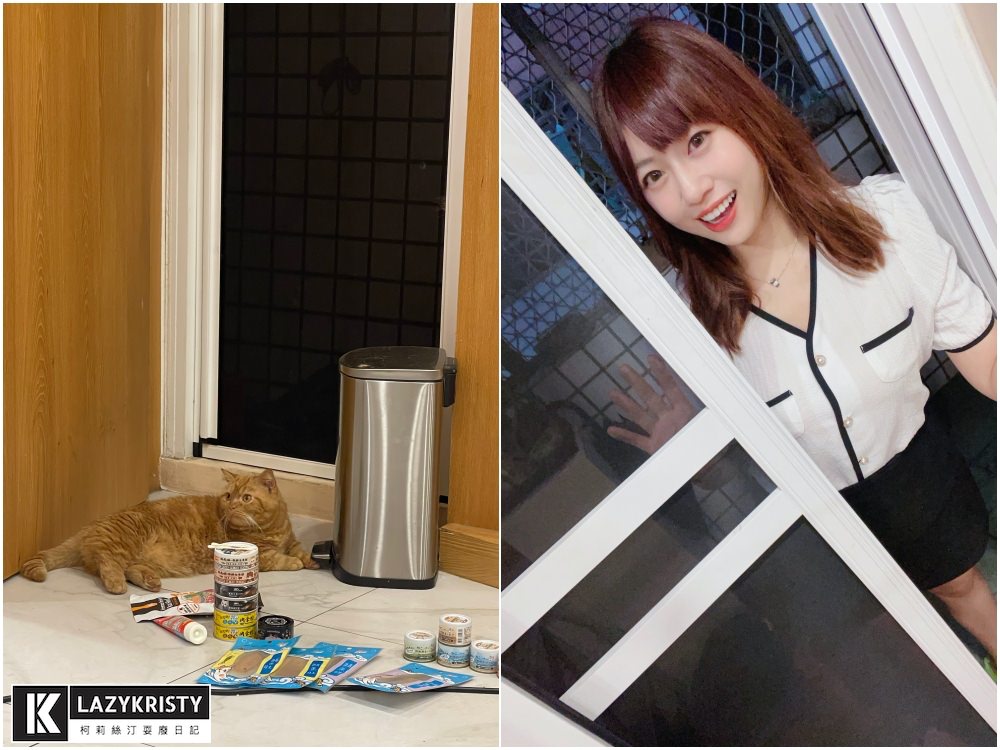 【養寵物過敏兒推薦】能抗菌+阻隔PM2.5的神奇紗窗！ 德國GreenWeb銀離子防霾紗窗有用嗎？使用心得與實測影片參考