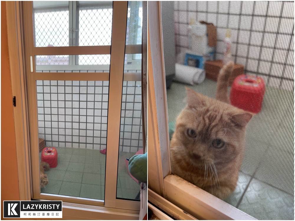 【養寵物過敏兒推薦】能抗菌+阻隔PM2.5的神奇紗窗！ 德國GreenWeb銀離子防霾紗窗有用嗎？使用心得與實測影片參考