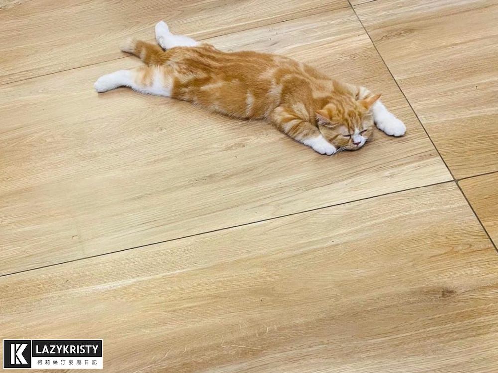 【打開水龍頭就有天然殺菌水?!】kona氧護罩終身免耗材！消毒除臭洗菜漱口都好用（大推親子寵物族群入手）