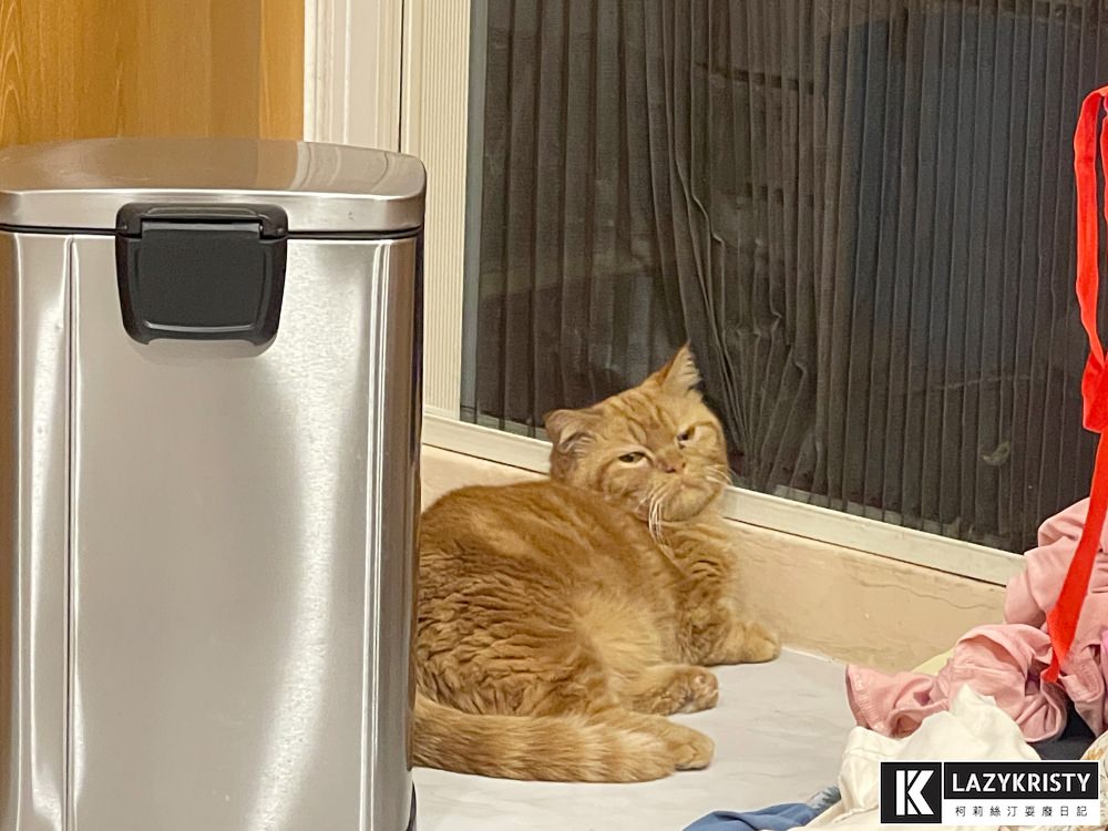 【養寵物過敏兒推薦】能抗菌+阻隔PM2.5的神奇紗窗！ 德國GreenWeb銀離子防霾紗窗有用嗎？使用心得與實測影片參考