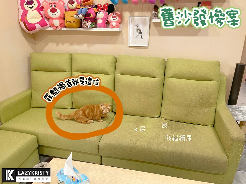 【高CP值台灣製沙發】貓奴實際用三年！嘉義樂樂玩色家居 價格合理的客製化沙發推薦