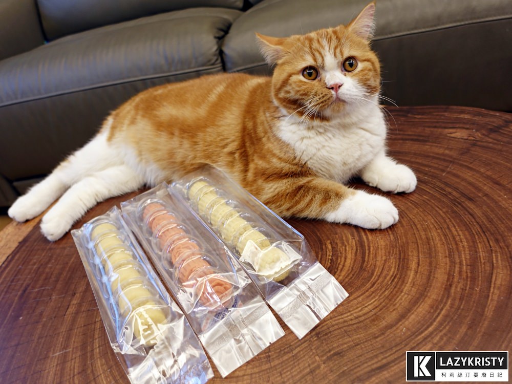 【送禮推薦】好吃到飛起來的頂級茶點伴手禮!羽曦堂冰豆糕&東方美人茶禮盒開箱 - 第5張圖 【送禮推薦】好吃到飛起來的頂級茶點伴手禮!羽曦堂冰豆糕&東方美人茶禮盒開箱