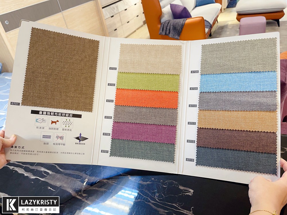 【高CP值台灣製沙發】貓奴實際用三年！嘉義樂樂玩色家居 價格合理的客製化沙發推薦