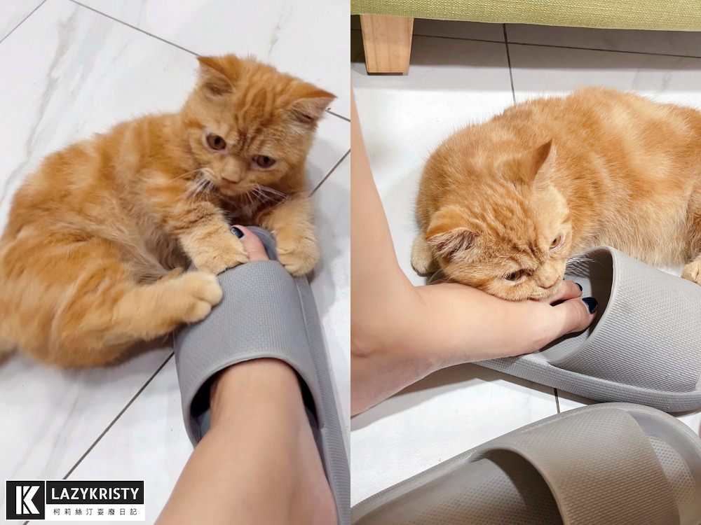 【台北美甲。Sweet Nails.涵式紋繡】親民平價的高質感光療推薦！保證一試成主顧的足部保養