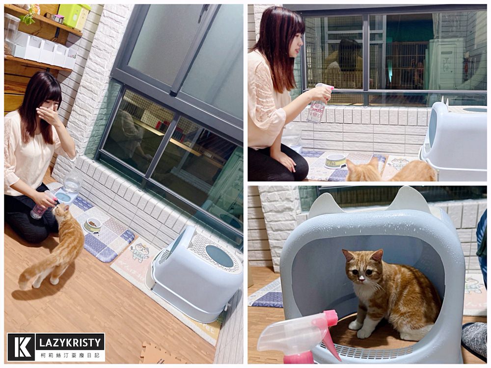 【打開水龍頭就有天然殺菌水?!】kona氧護罩終身免耗材！消毒除臭洗菜漱口都好用（大推親子寵物族群入手）