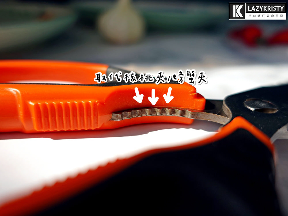 【食物剪刀推薦】烤肉露營一支抵四支！WellCut紅蟳牌可拆式多功能廚房剪刀