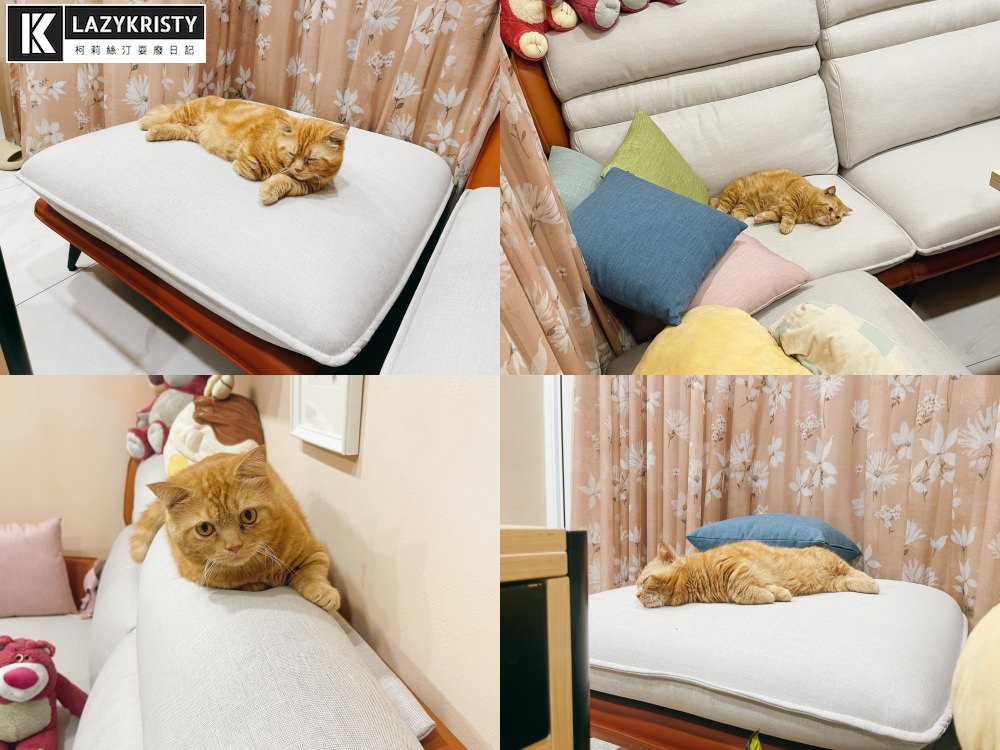 【高CP值台灣製沙發】貓奴實際用三年！嘉義樂樂玩色家居 價格合理的客製化沙發推薦