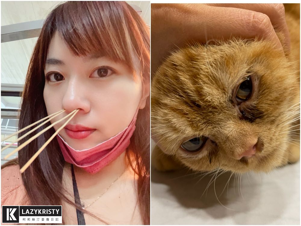 【養寵物過敏兒推薦】能抗菌+阻隔PM2.5的神奇紗窗！ 德國GreenWeb銀離子防霾紗窗有用嗎？使用心得與實測影片參考